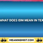 what does idm mean in text