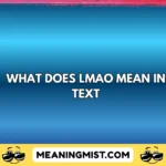 what does lmao mean in text