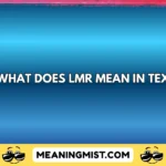 what does lmr mean in text