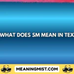what does sm mean in text