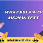 what does wtv mean in text