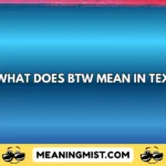 what does btw mean in text