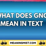 what does gng mean in text