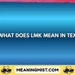 what does lmk mean in text