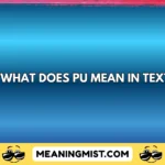 what does pu mean in text