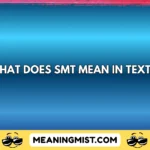what does smt mean in text