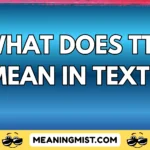 what does tt mean in text
