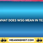 what does wsg mean in text