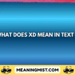 what does xd mean in text