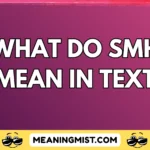 what do smh mean in text