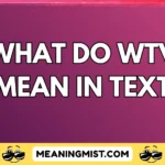 what do wtv mean in text