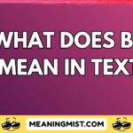 what does bd mean in text