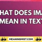 what does imao mean in text