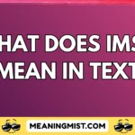 what does imsg mean in text