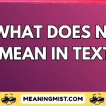 what does ns mean in text