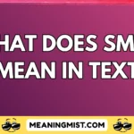 what does smth mean in text