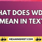 what does wdym mean in text