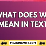 what does ws mean in text