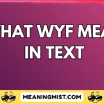 what wyf mean in text