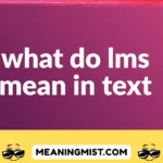 what do lms mean in text