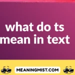 what do ts mean in text
