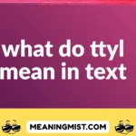 what do ttyl mean in text