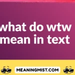 what do wtw mean in text