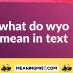 what do wyo mean in text