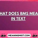 what does bms mean in text