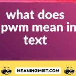 what does dpwm mean in text
