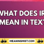 what does irl mean in text