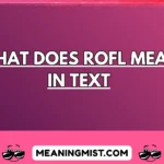 what does rofl mean in text