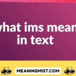 what ims mean in text
