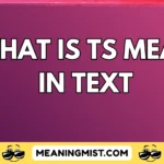 what is ts mean in text