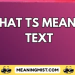 what ts mean in text