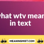 what wtv mean in text