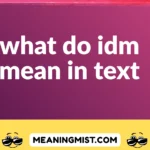 what do idm mean in text