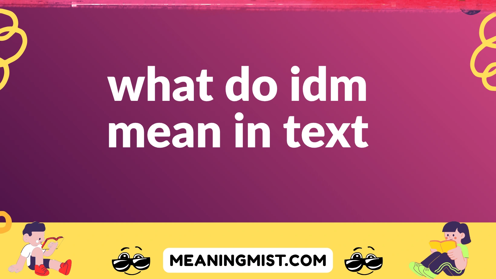 what do idm mean in text