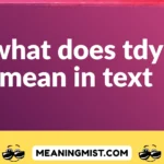 what does tdy mean in text