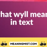 what wyll mean in text